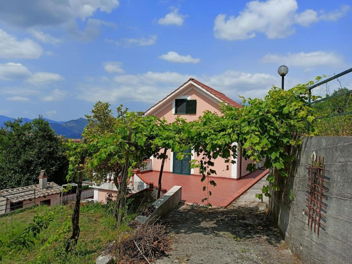 Villa Vicinus - 120 Mq - Parking - Garden Vietri Exteriör bild