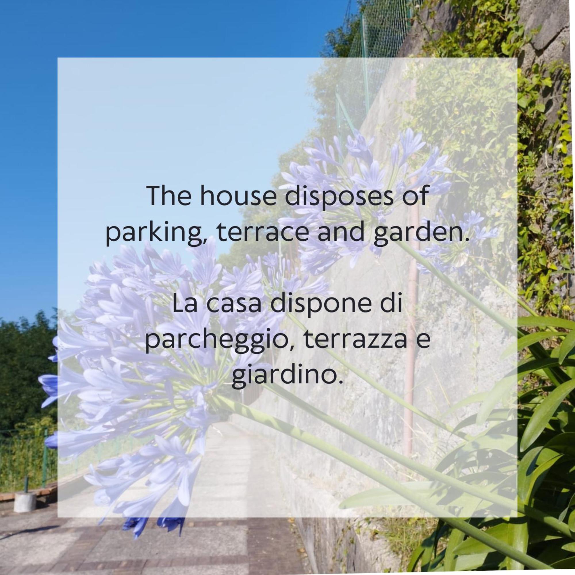 Villa Vicinus - 120 Mq - Parking - Garden Vietri Exteriör bild